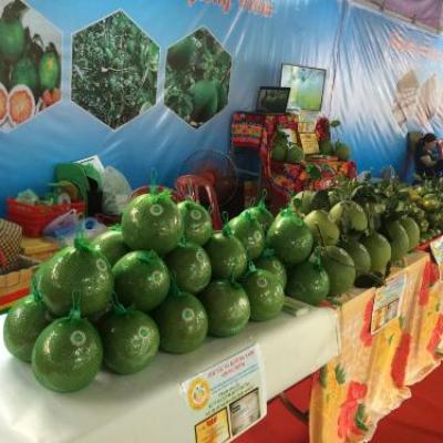 Sản phẩm đa dạng